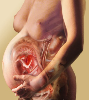 37 неделя беременности