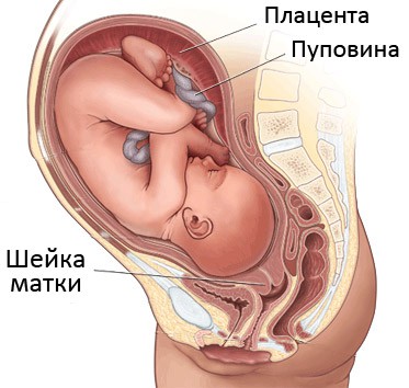 Раскрытие шейки матки